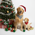 Вижте изображението в галерията, Two dogs wearing bandanas, one wearing a Santa hat, sitting in front of a Christmas tree with ornaments and presents.
