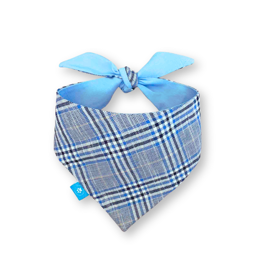 Tartan/blue double-sided dog bandana