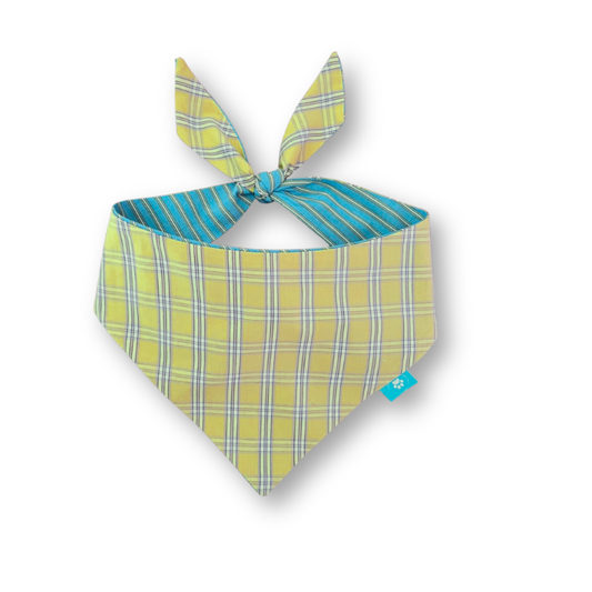 Green tartan/blue stripes double-sided dog bandana