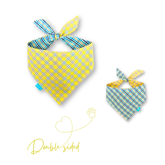 Yellow tartan/blue checkered double-sided dog bandana