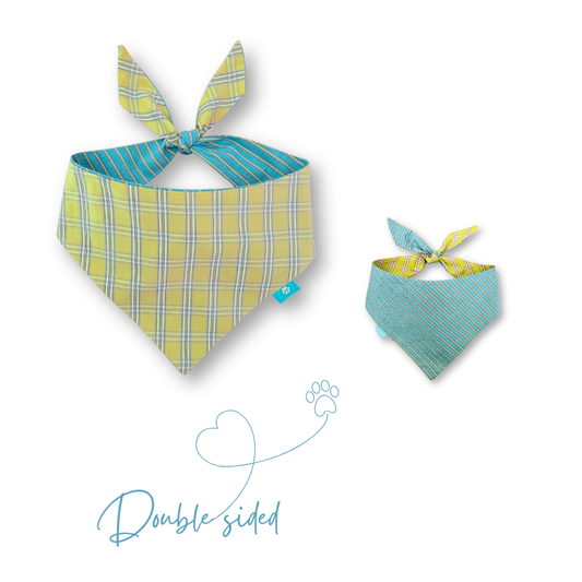 Green tartan/blue stripes double-sided dog bandana