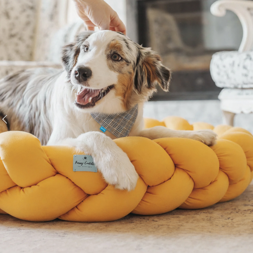 Dog lying on a yellow braided pet bed with a person petting it indoors.