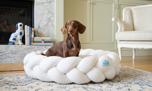 Dog lying on a large white braided pet bed in a cozy living room.