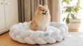 Вижте изображението в галерията, Small dog sitting on a braided white pet bed in a home setting.
