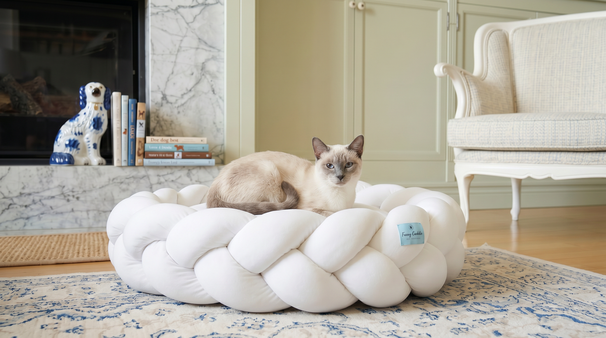 Cat lying on a white braided pet bed in a cozy living room.