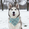 Вижте изображението в галерията, Класически тартан/синя кашмирена двулицева бандана за куче
